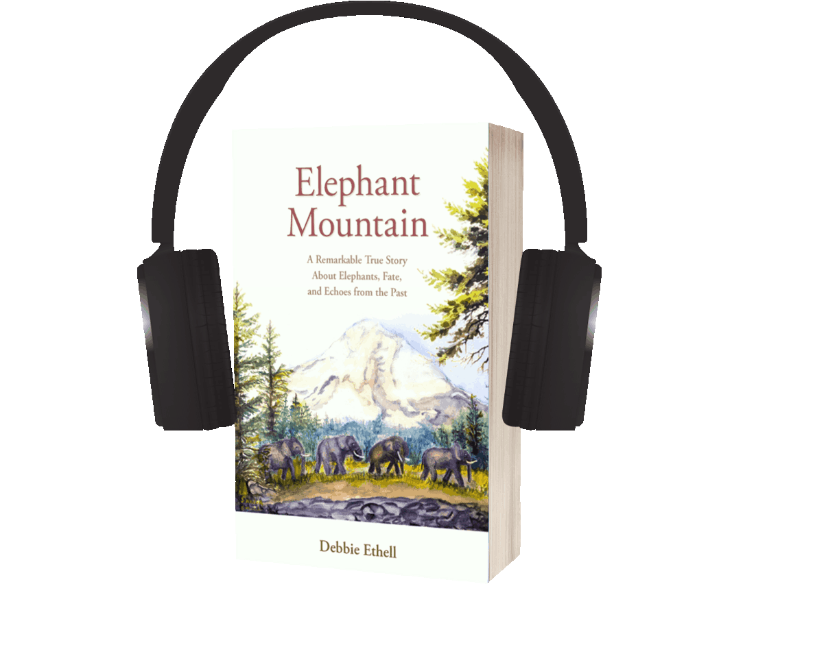 3-D book cover of The Will of Heaven: An Inspiring True Story About Elephants, Alcoholism, and Hope, white cover with watercolor painting of girl with long blonde hair reaching out to an elephant, author Debbie Ethell.