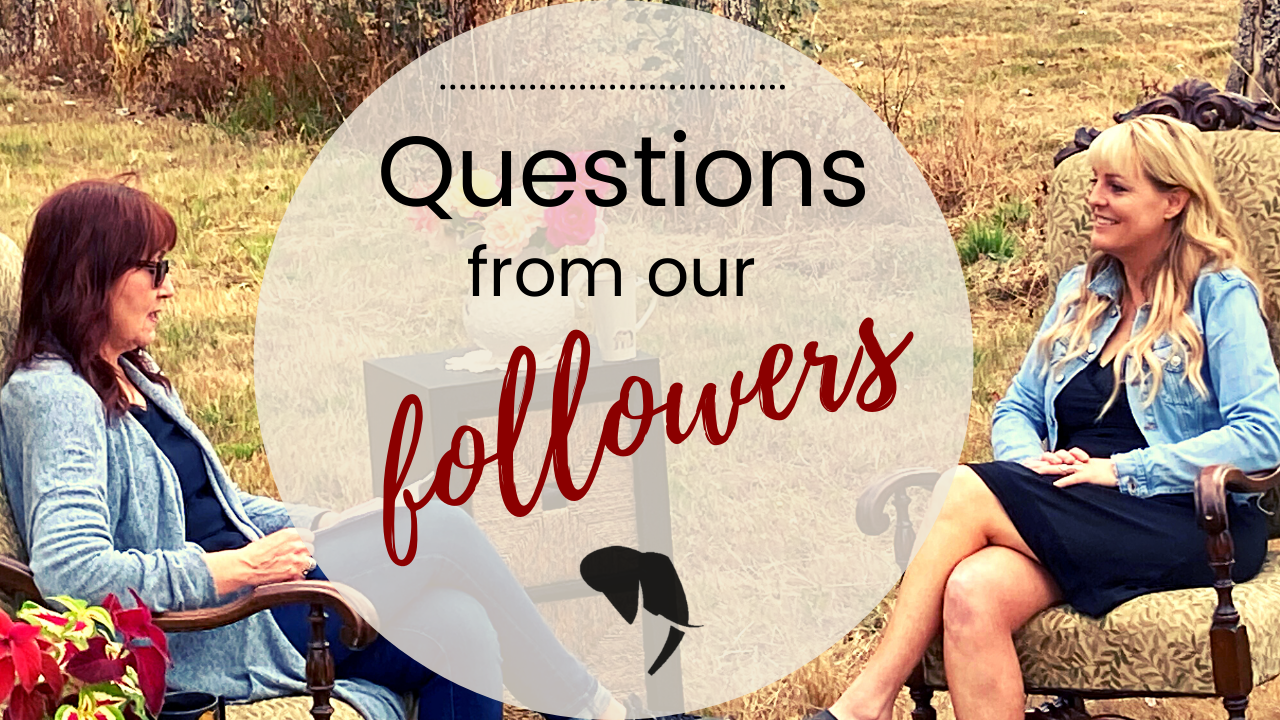 The title of the episode "Discovery of Elephant Communication" showing a whale underwater with sound vibrations coming off its head.