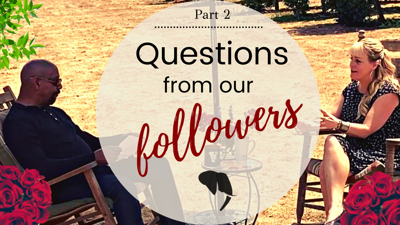 The title of the episode "Discovery of Elephant Communication" showing a whale underwater with sound vibrations coming off its head.