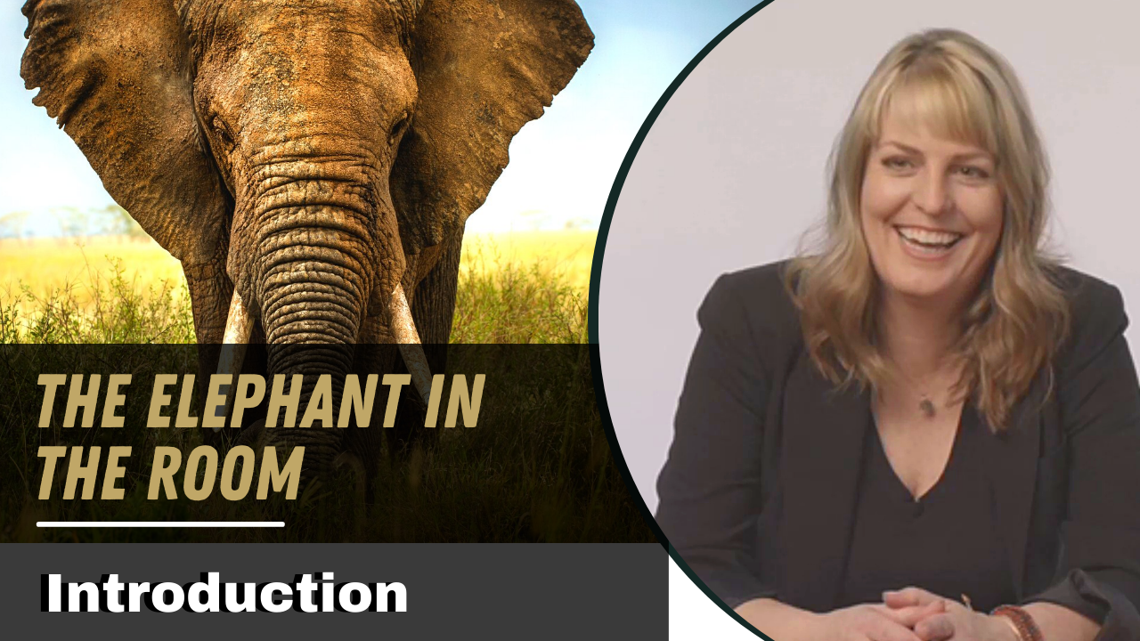 Split screen showing Debbie Ethell laughing at desk and an elephant on grass savanna with title The Elephant in the Room - Introduction.