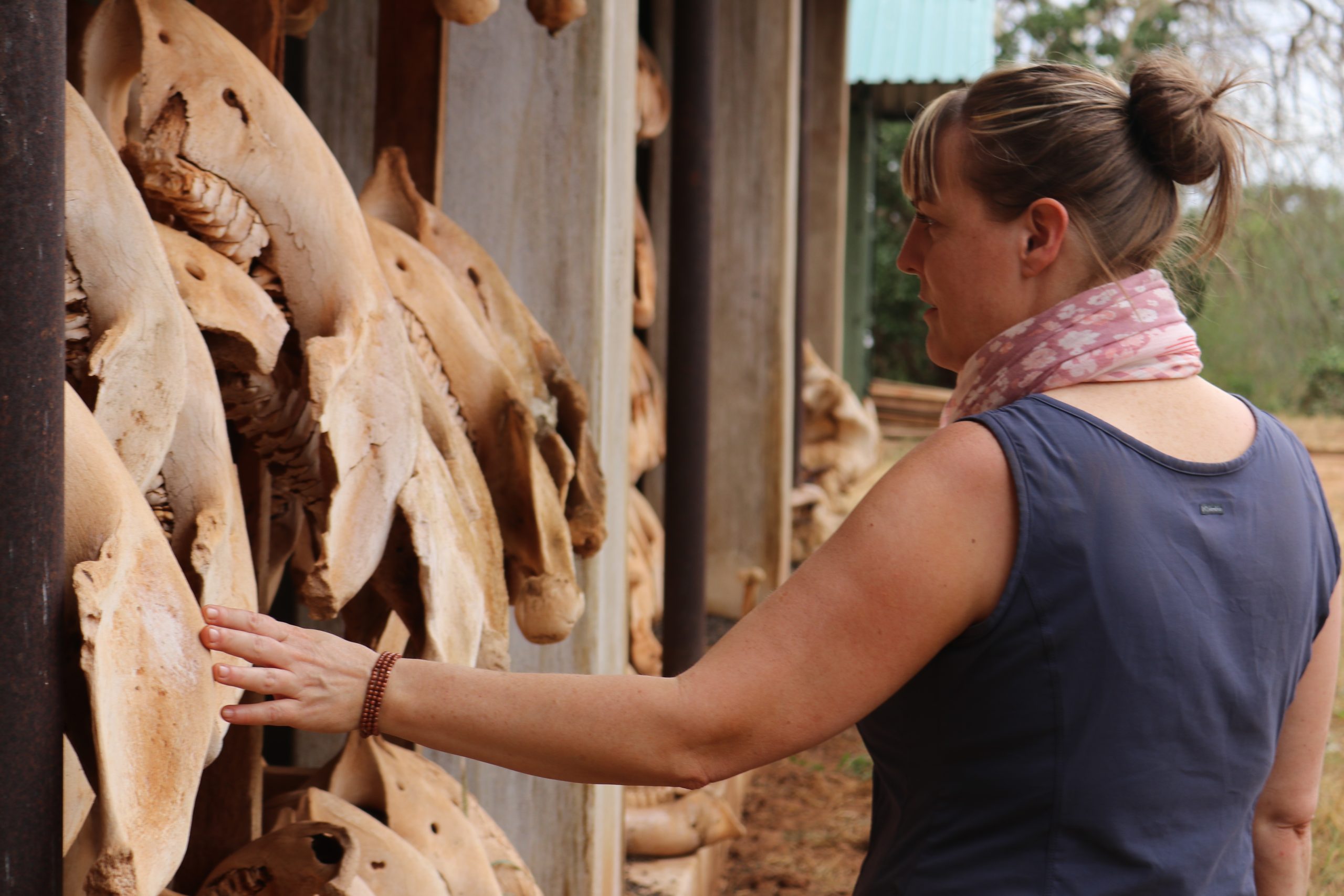 Author in side profile standing in front of a row of elephant bones researching her elephant books.