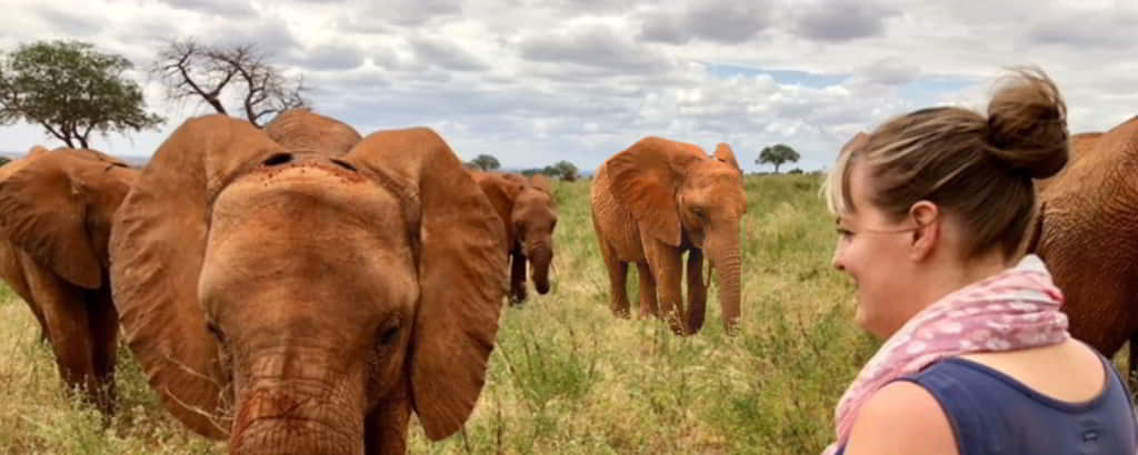 Debbie Ethell, elephant conservation scientist and author, pictured in Kenya with wild elephants in the background.