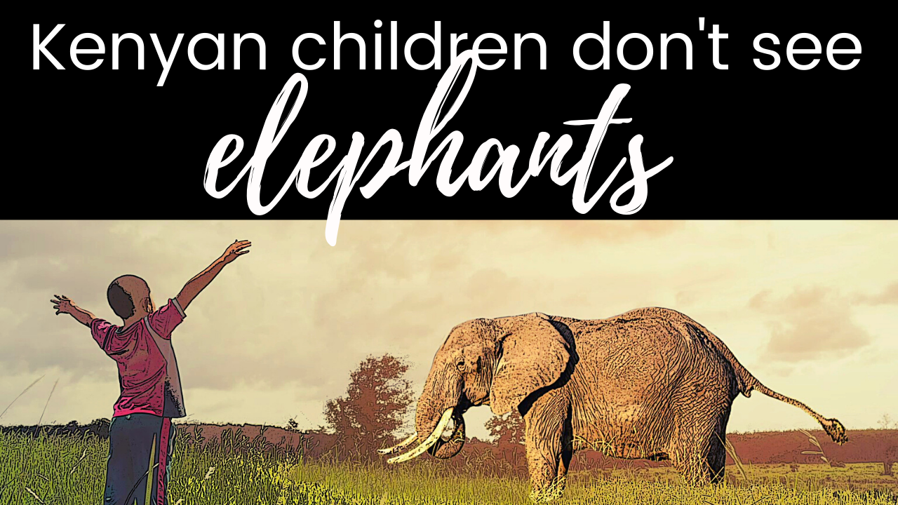 The title of the episode "Discovery of Elephant Communication" showing a whale underwater with sound vibrations coming off its head.