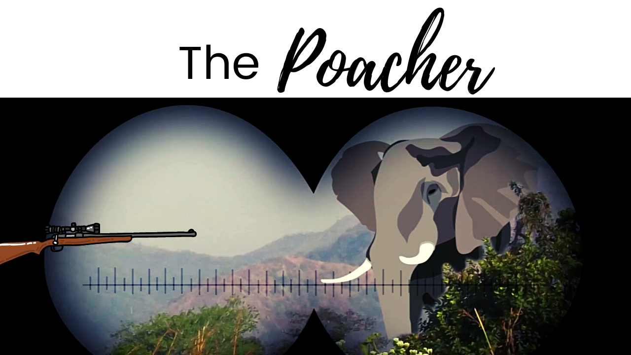 The title of the episode "Discovery of Elephant Communication" showing a whale underwater with sound vibrations coming off its head.