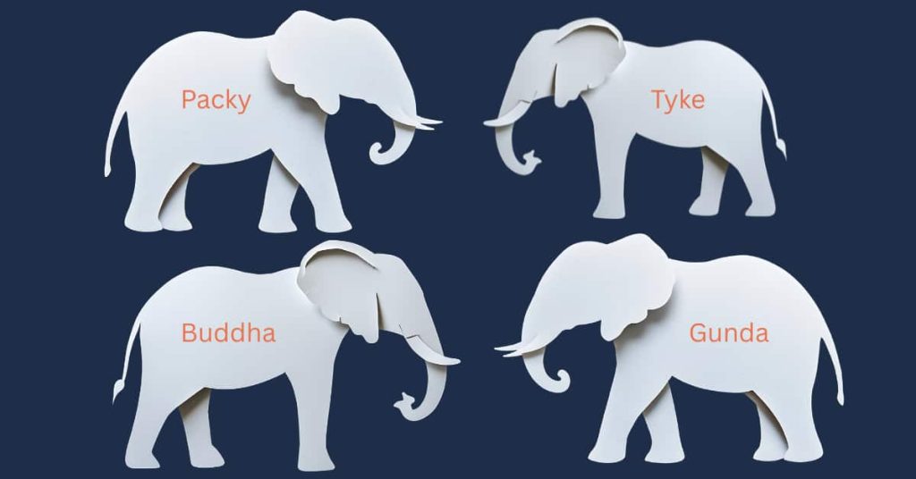 Graphic of four famous elephants in history: Packy, Tyke, Gunda, and Buddha against a dark blue background.