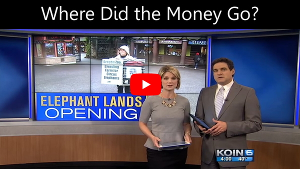KOIN 6 news segment titled Elephant Lands Opening showing an Oregon Zoo protester. Part of an investigative series on the Oregon Zoo bond measure controversy