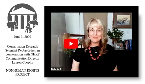 Debbie Ethell being interviewed by Lauren Choplin of the Nonhuman RIghts Project about elephant welfare.