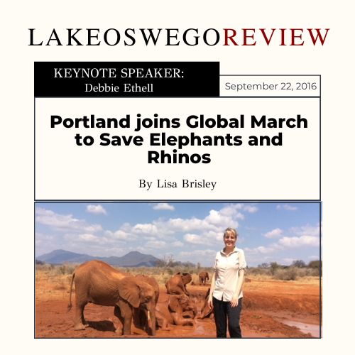 Debbie Ethell standing in front of a group of elephants bathing in a waterhole in Kenya, on the front page of the Lake Oswego Review newspaper.