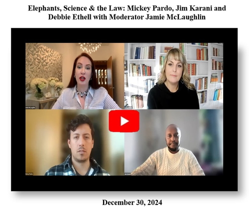 Panel interview featuring Mickey Pardo, Jim Karani, and Debbie Ethell moderated by Jamie McLaughlin called Elephants and the Law