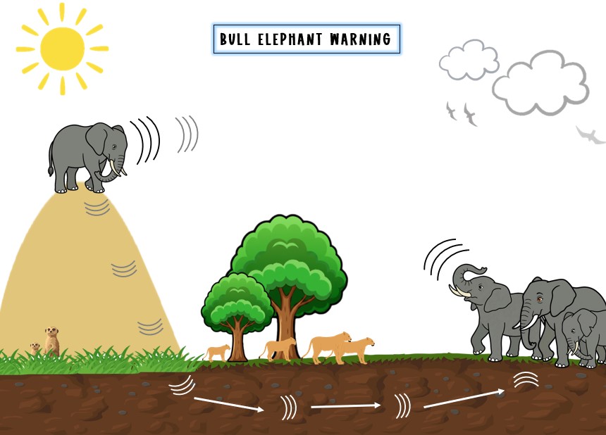 Illustration of an elephant communicating with a herd across a mountain landscape using above-ground sound waves and underground seismic signals.